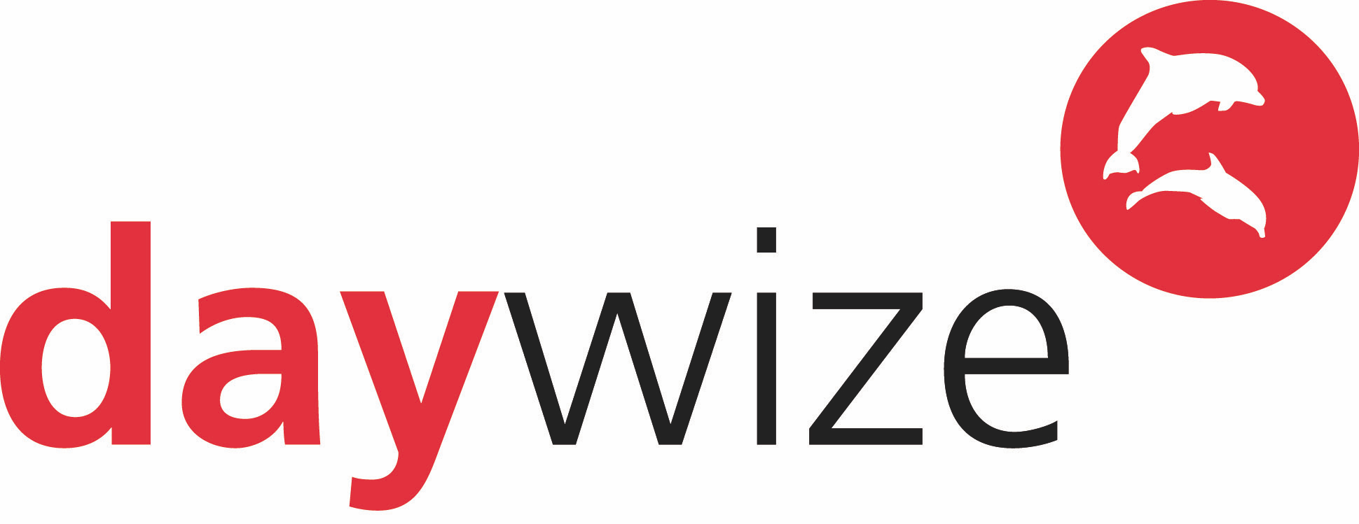 Daywize logo